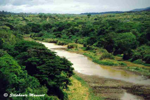 Hluluwe-Umfolozi river