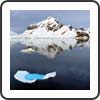 Galerie de photos paysages et faune Antarctique