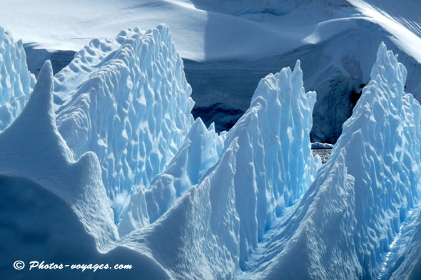iceberg antarctique bleuté et sculpté par la nature