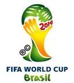 coupe du monde de football au brésil