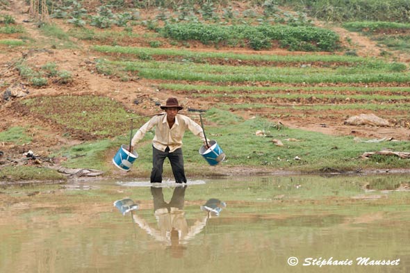 cambodgien portant des seaux d'eau