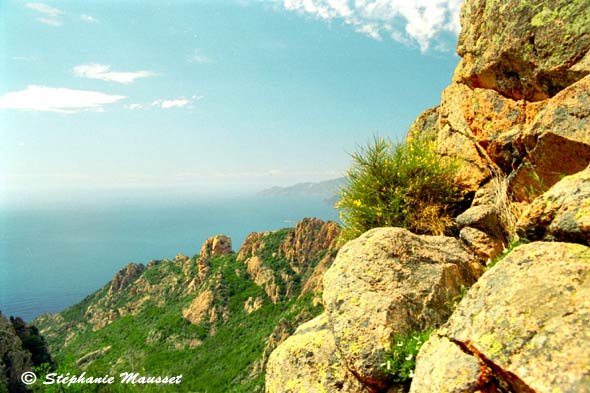 Paysage végétation et roche des calanches Corse