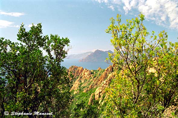 panorama des calanches Corse roche et végétation
