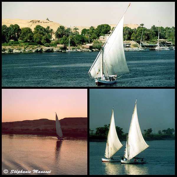 feloucas sailing on the Nile
