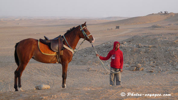 Découvrir le désert égyptien à cheval