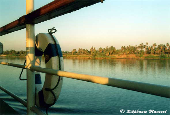 rive droite du Nil verte et luxuriante