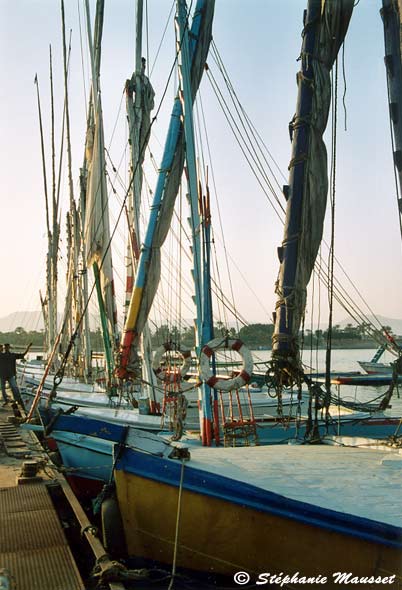 bateaux du port de Louxor