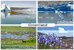 Photos de paysages du Groenland
