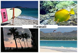 Hawaii postcard