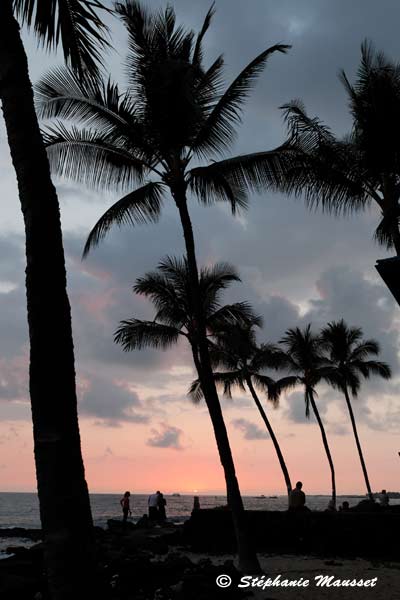 coucher de soleil à Hawaii cocotier et océan