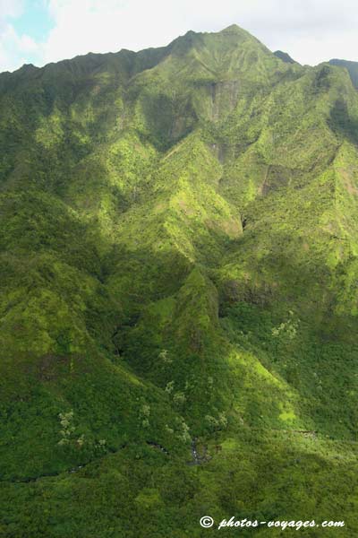 Relief et végétation de Kauai vue du ciel
