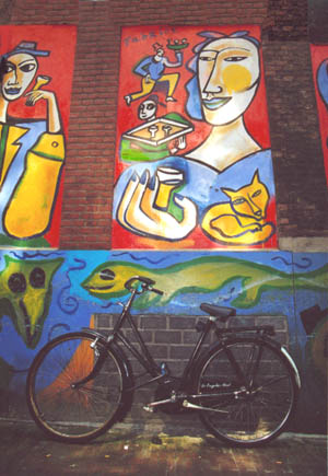 Photo du mois ruelle colorée d'Amsterdam