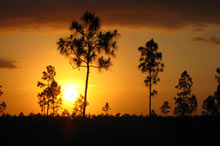 coucher de soleil dans les Everglades en Floride