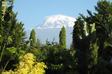 Sommet du Kilimandjaro en Tanzanie