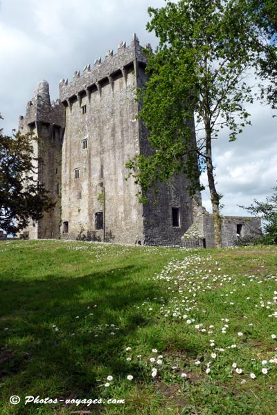 Château irlandais Blarney castle de Cork