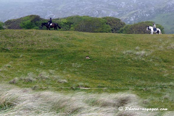 Faire du cheval dans le Kerry