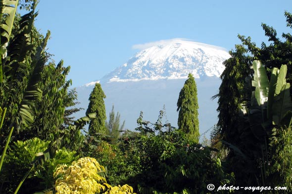 Sommet enneigé du Kilimandjaro vu de l'hôtel Keys de Moshi