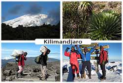 Kilimanjaro postcard