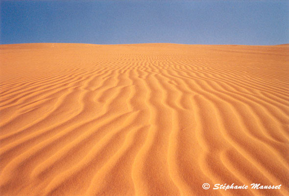 Paysage de sable dans le Sahara