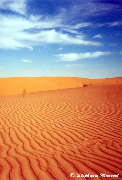 Paysage teinté de orange dans le désert