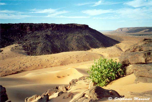 Passe de Tifoujar sahara mauritanien