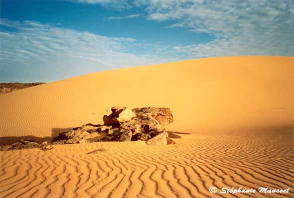 Paysage de dunes de sable du Sahara