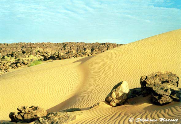 Paysage de sable et roche dans le désert