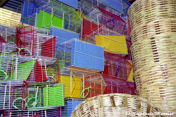 cages à oiseaux colorées
