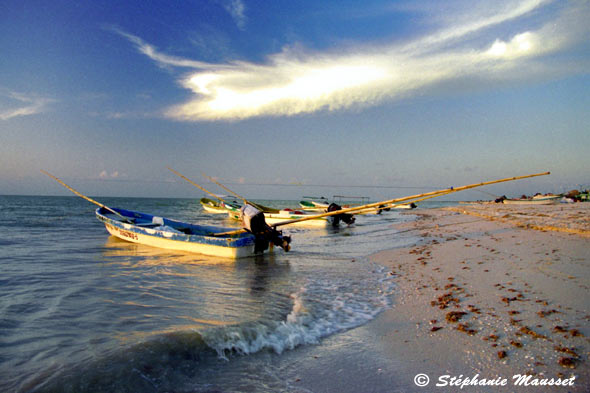 Bateaux de pêche sur la plage de Celestun