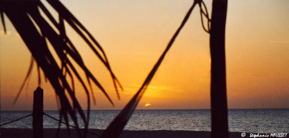 Photo du mois plage au coucher de soleil