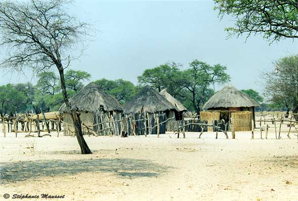 Huttes bushmen du Botswana