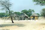 Village Bushmen