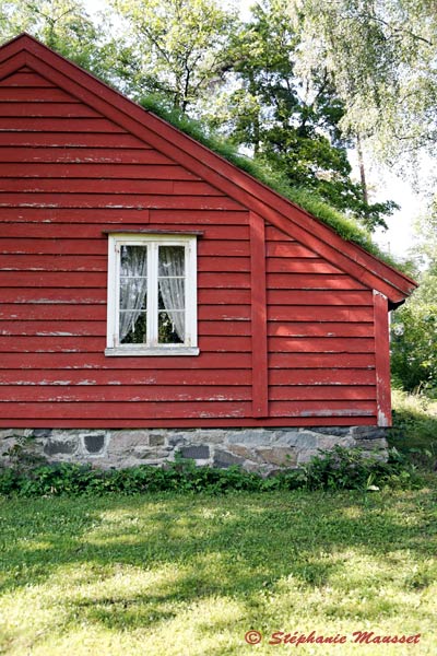 Typique en Norvège le toit végétal