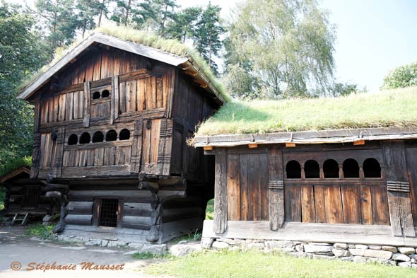 Maisons au toit végétal en Norvège