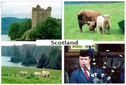 Scotland postcard