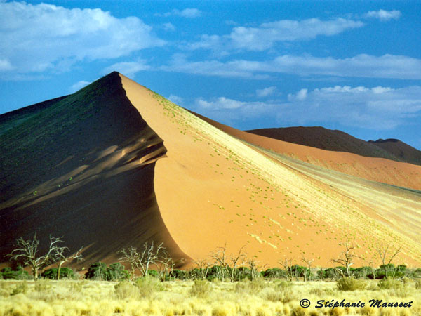 Best of photos dune de sable du Namib