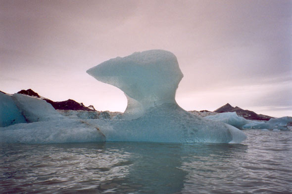 Photo du mois iceberg au Spitzberg