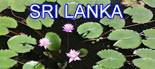 Photos d'un voyage au Sri lanka