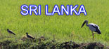 Récit de voyage au Sri lanka