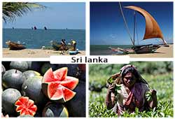 Voyage au Sri lanka
