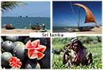 Photos de voyage au Sri lanka
