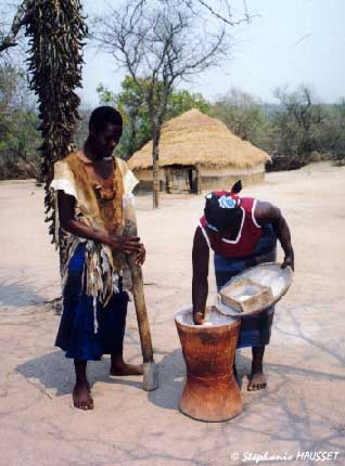 maize crushing