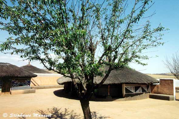huttes d'un village Ndebele