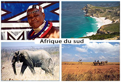 3 semaines en Afrique du sud