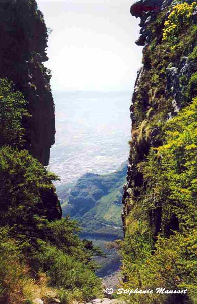 View from table mountain