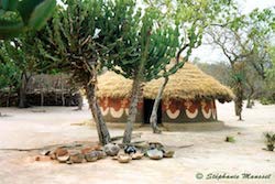 Hutte sud-africaine