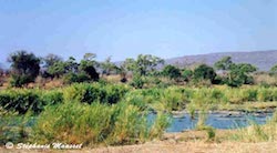 Parc kruger