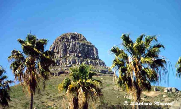 Pic Lion's head au Cap, voyage en Afrique du sud