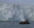 Whales and glaciers videos