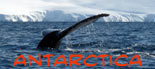 Antarctica photo gallery and travelogue